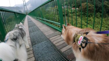 【栃木県那須塩原市】もみじ谷大吊橋